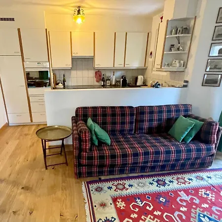 Chesa Ruinatsch 50 アパート *